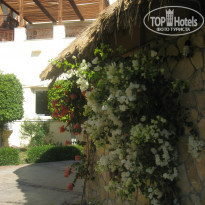 фото из отзыва ID 884466