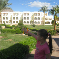 фото из отзыва ID 884466