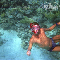 фото из отзыва ID 884474