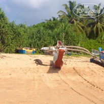 фото из отзыва ID 884537