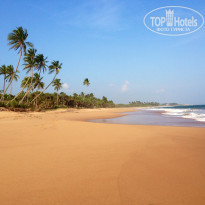 фото из отзыва ID 884537