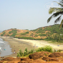 фото из отзыва ID 884633