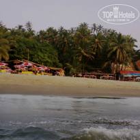 фото из отзыва ID 884633