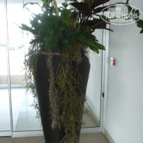 фото из отзыва ID 884641