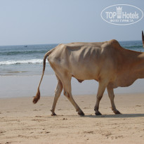 фото из отзыва ID 884670