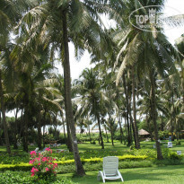 фото из отзыва ID 884756