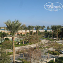 фото из отзыва ID 884823