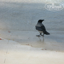 фото из отзыва ID 884823