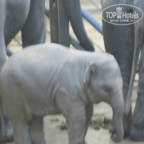 фото из отзыва ID 884887