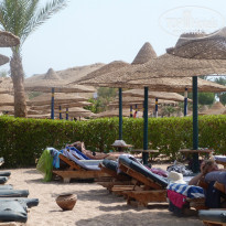 фото из отзыва ID 884946