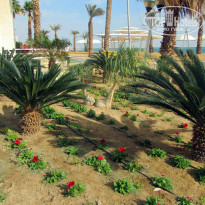 фото из отзыва ID 884984