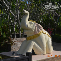 фото из отзыва ID 884289