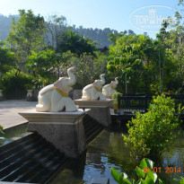 фото из отзыва ID 884289