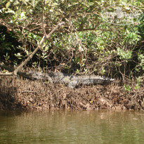 фото из отзыва ID 884670