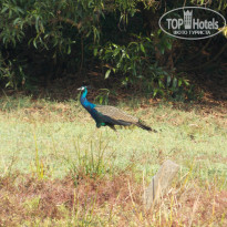 фото из отзыва ID 884190