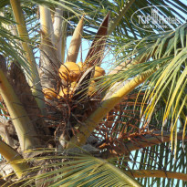 фото из отзыва ID 884190