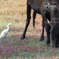 фото из отзыва ID 884190