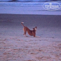 фото из отзыва ID 884190