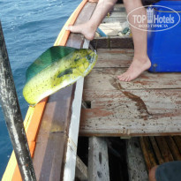 фото из отзыва ID 884535