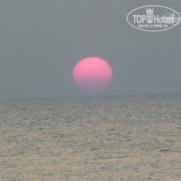 фото из отзыва ID 884535