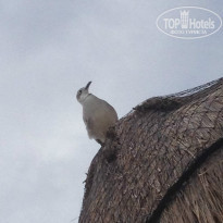 фото из отзыва ID 885109