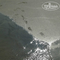 фото из отзыва ID 885170