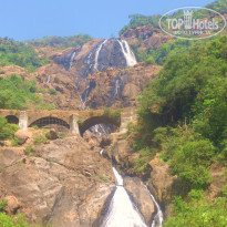 фото из отзыва ID 885180