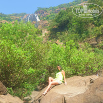 фото из отзыва ID 885180