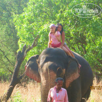 фото из отзыва ID 885180