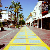 фото из отзыва ID 885323