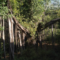 фото из отзыва ID 885381