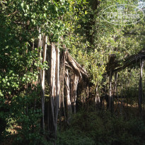 фото из отзыва ID 885381