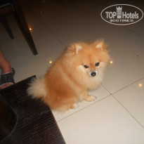 фото из отзыва ID 885540