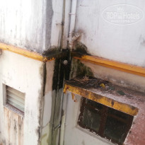 фото из отзыва ID 885571