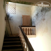 фото из отзыва ID 885571