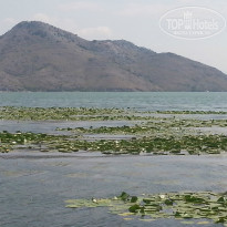 фото из отзыва ID 885585