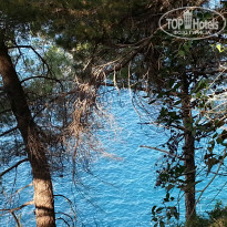 фото из отзыва ID 885585