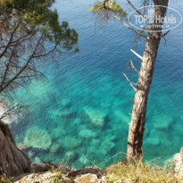 фото из отзыва ID 885585