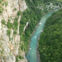 фото из отзыва ID 885585