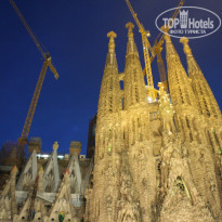 фото из отзыва ID 885589