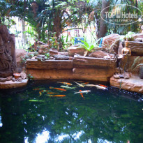 фото из отзыва ID 885767