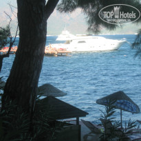 фото из отзыва ID 885768