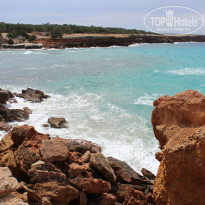 фото из отзыва ID 885781