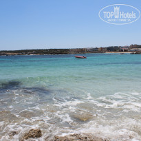 фото из отзыва ID 885781