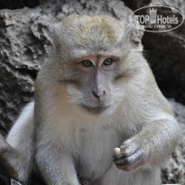 фото из отзыва ID 885913