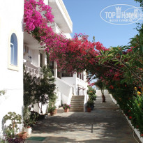 фото из отзыва ID 88504