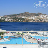 фото из отзыва ID 88695