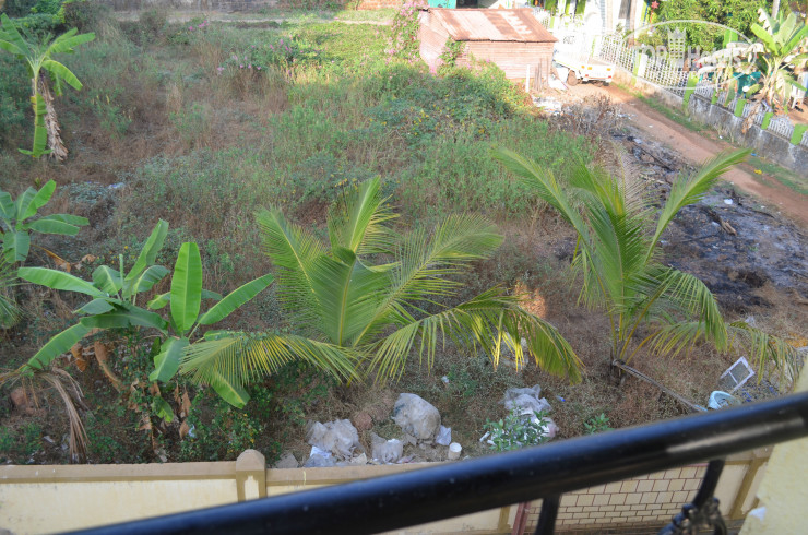 New photos from tourists Shenrod Palms
