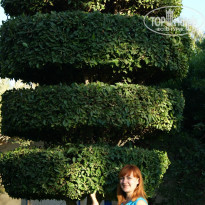 фото из отзыва ID 886157