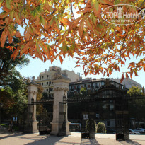 фото из отзыва ID 886250